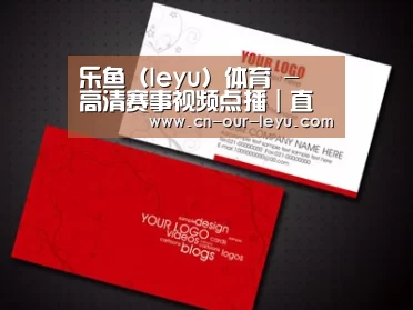 项目名称一