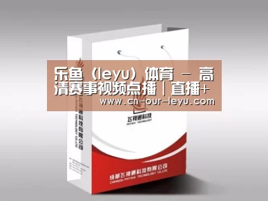 项目名称十三