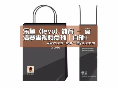 项目名称十四