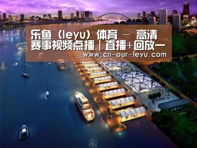 案例展示八