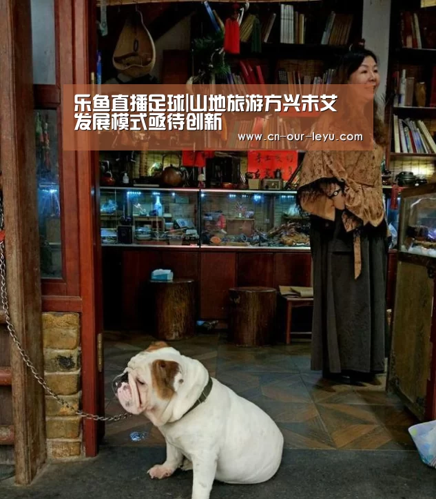 乐鱼直播足球|山地旅游方兴未艾 发展模式亟待创新(图2) 乐鱼直播电脑版