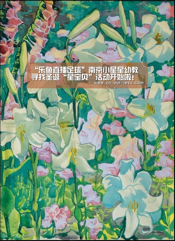 乐鱼体育直播官网