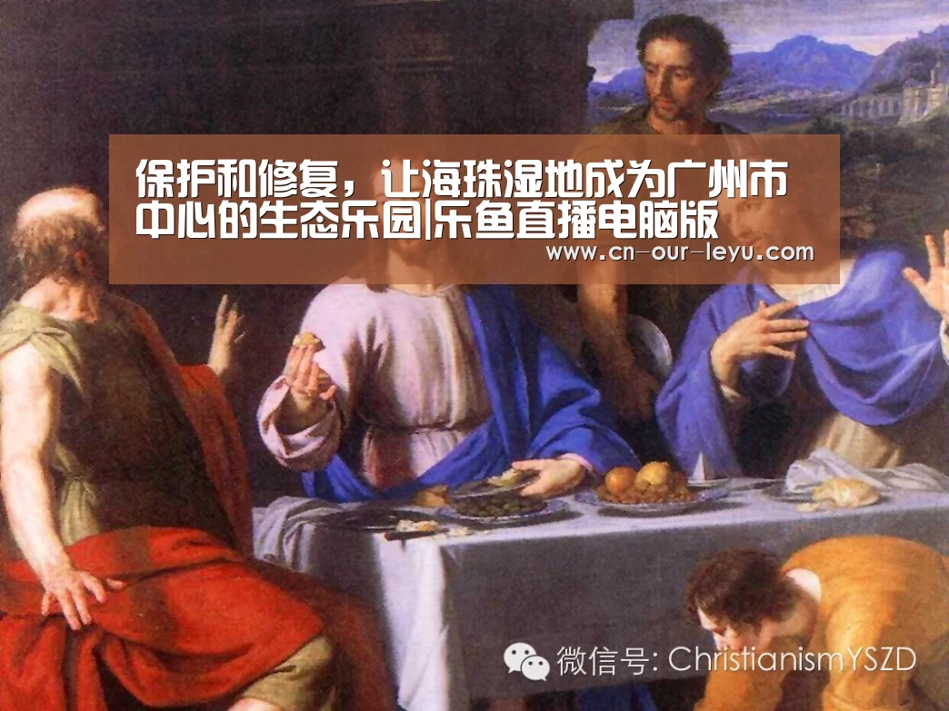 乐鱼直播足球