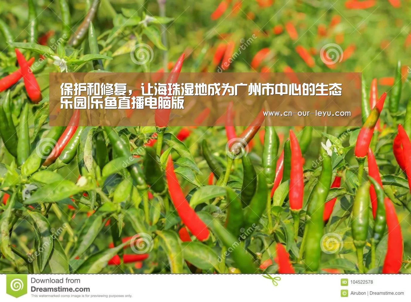 乐鱼直播足球