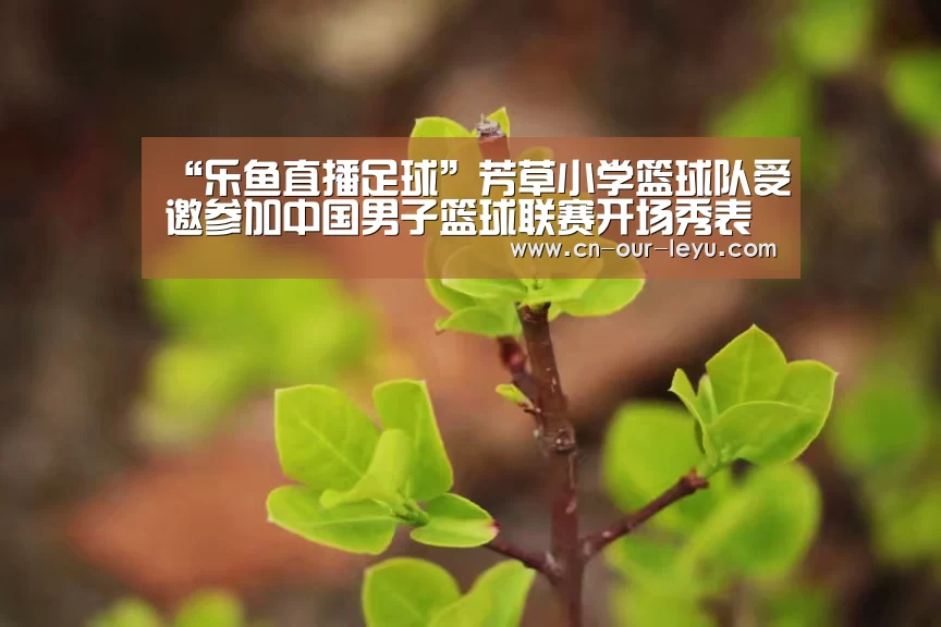 乐鱼体育直播官网