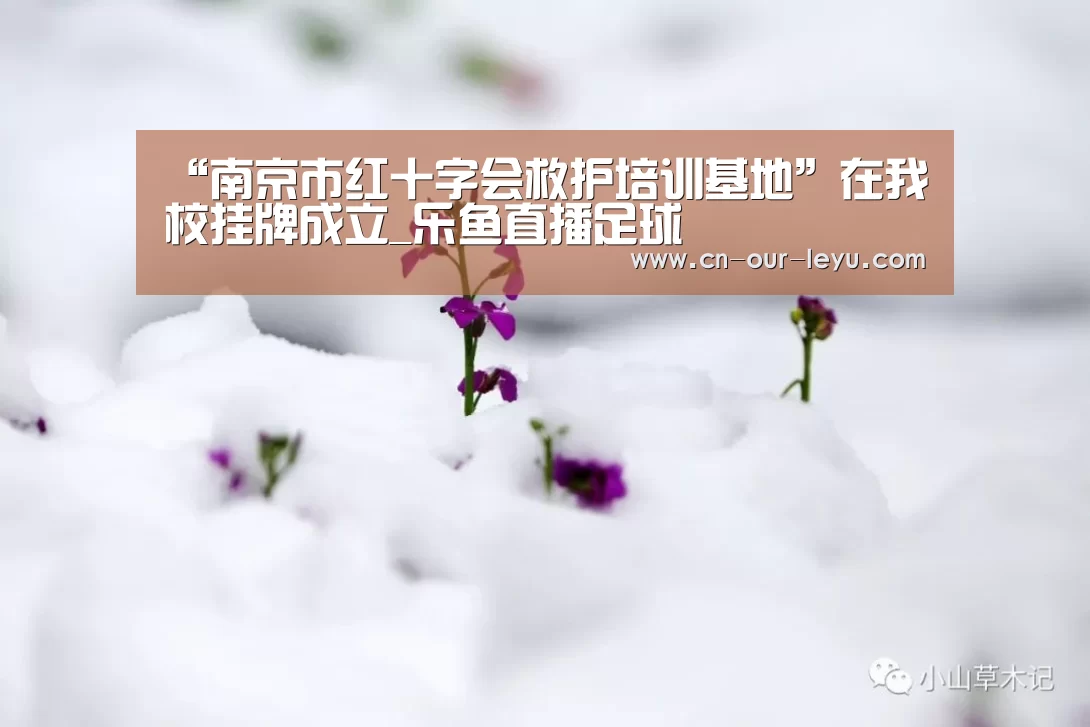 “南京市红十字会救护培训基地”在我校挂牌成立_乐鱼直播足球(图1) 乐鱼直播电脑版
