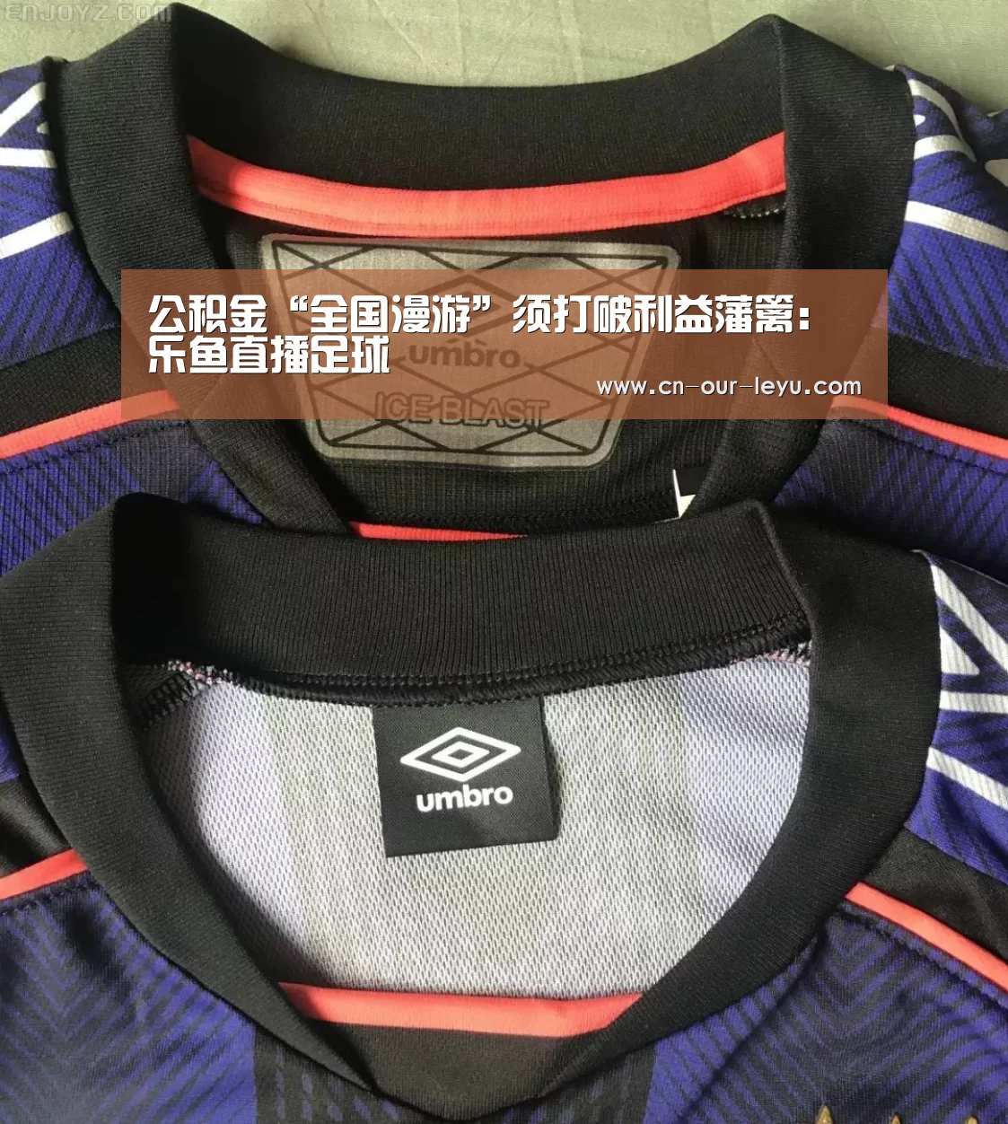乐鱼体育直播官网